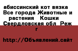 абиссинский кот вязка - Все города Животные и растения » Кошки   . Свердловская обл.,Реж г.